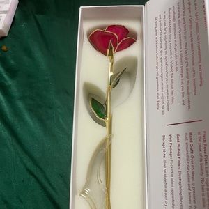 Gold plated rose